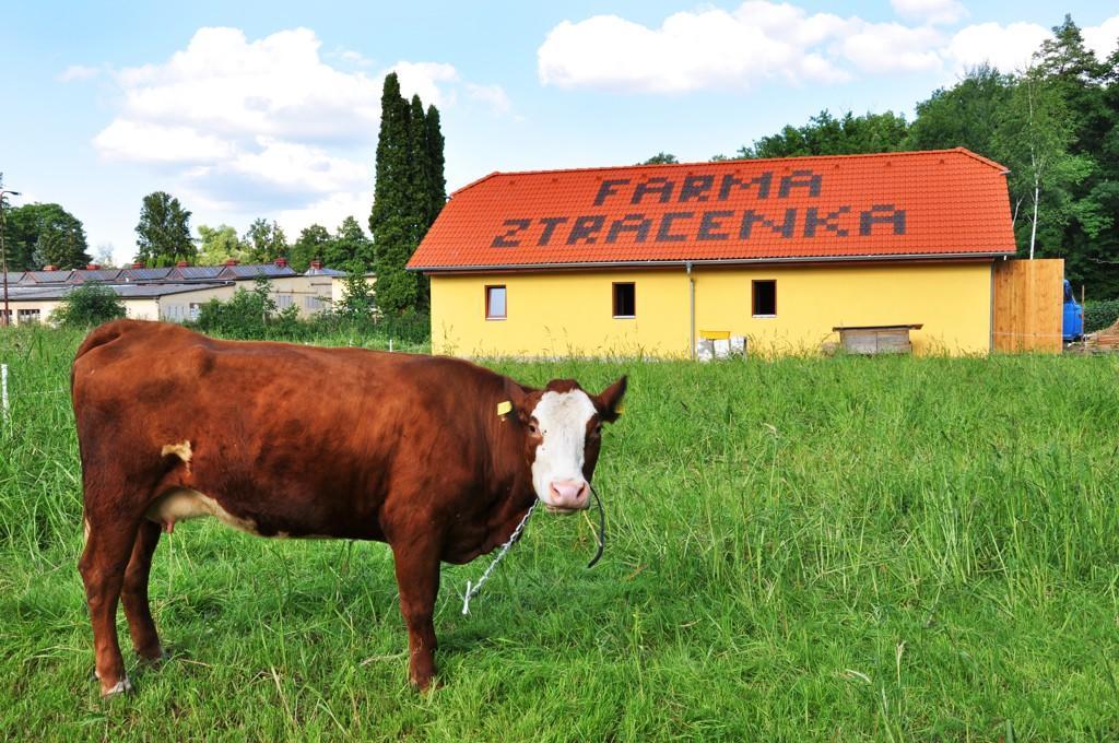 מלון Porici nad Sazavou Farma Ztracenka מראה חיצוני תמונה