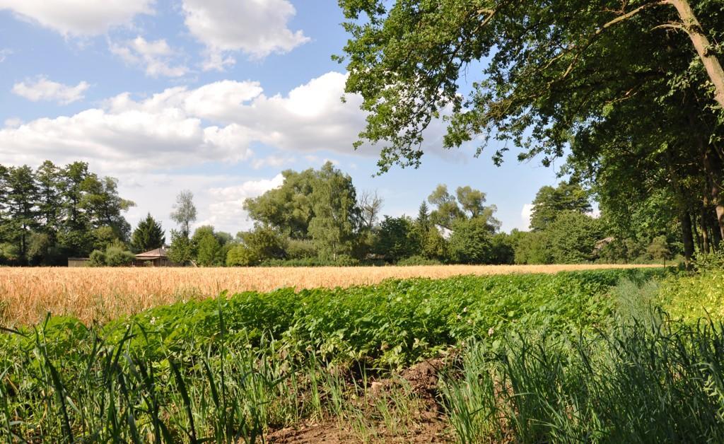 מלון Porici nad Sazavou Farma Ztracenka מראה חיצוני תמונה