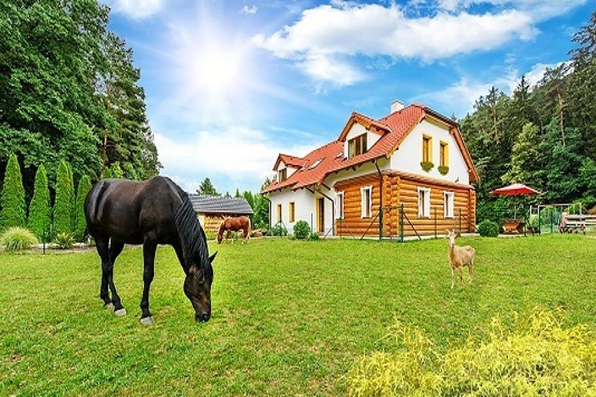 מלון Porici nad Sazavou Farma Ztracenka מראה חיצוני תמונה